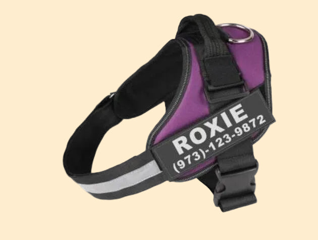 Reflective Adjustable Dog Harness – Personalized for Happy Dogs