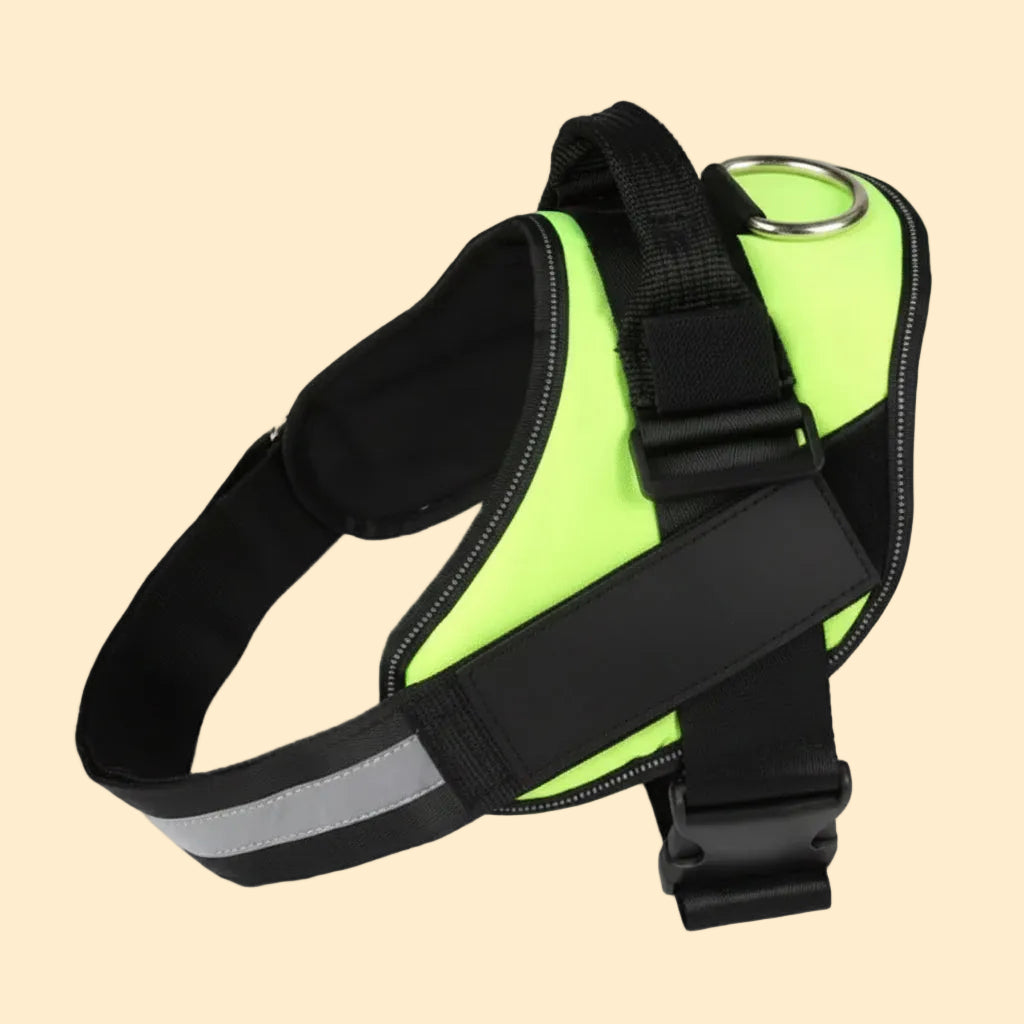 Reflective Adjustable Dog Harness – Personalized for Happy Dogs